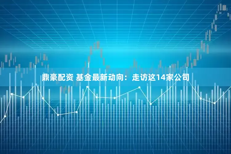 鼎豪配资 基金最新动向：走访这14家公司