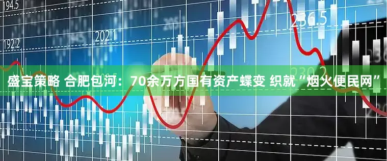 盛宝策略 合肥包河：70余万方国有资产蝶变 织就“烟火便民网”