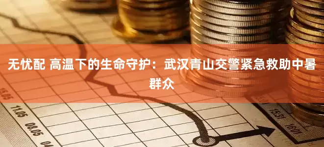 无忧配 高温下的生命守护：武汉青山交警紧急救助中暑群众