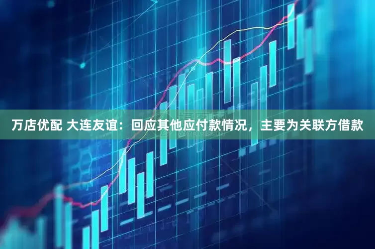 万店优配 大连友谊：回应其他应付款情况，主要为关联方借款