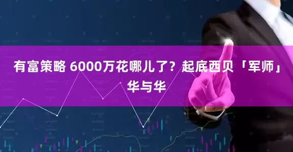 有富策略 6000万花哪儿了？起底西贝「军师」华与华