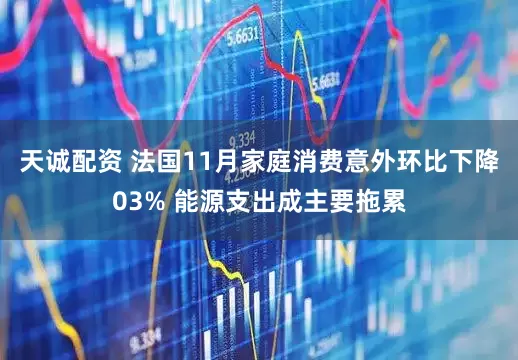 天诚配资 法国11月家庭消费意外环比下降03% 能源支出成主要拖累